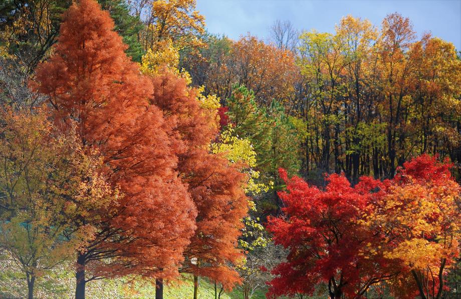 가을향기 가득한 태조산공원