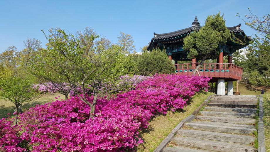 만개한 꽃동산 천안 쌍용공원