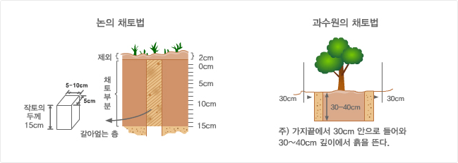 논의 채토법은 토양표면을 1~2cm정도 긁어낸 후 가로 5~10cm, 세로 5m, 높이 15cm 두께로 채토합니다. 과수원의 채토법은 가지끝에서 30cm 안으로 들어와 30~40cm 깊이에서 흙을 뜹니다.